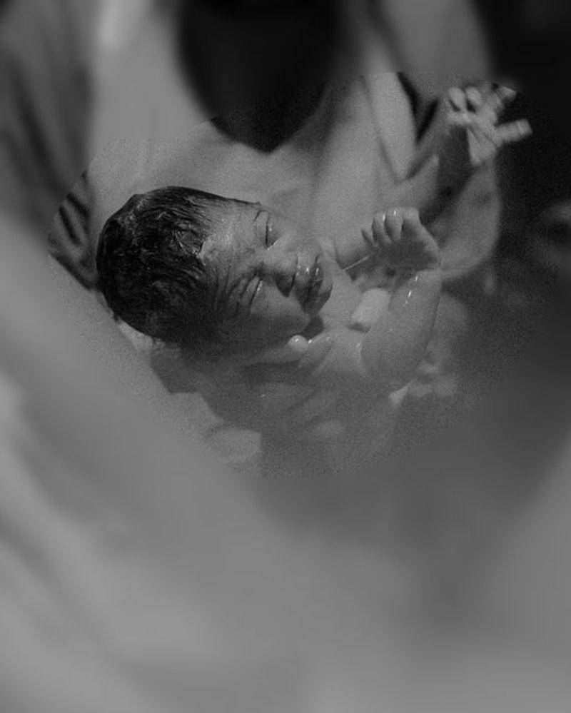 Instagram.com/westnydj